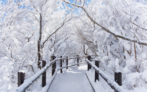 South Korea in winter – South Korea Winter Tour from Manila