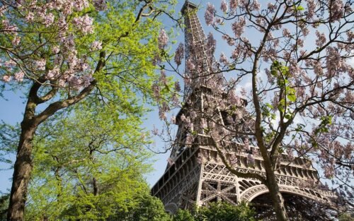 Eiffel Tower in Paris in spring – Bellisima+ Europe tour