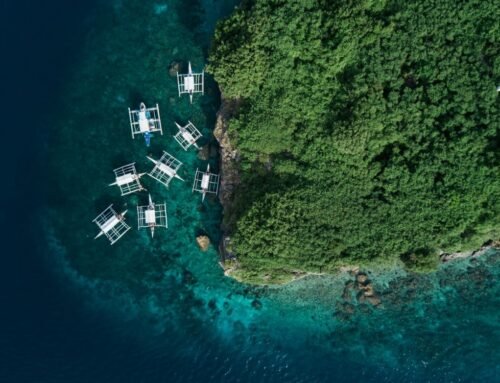 New: Cebu Land Arrangement
