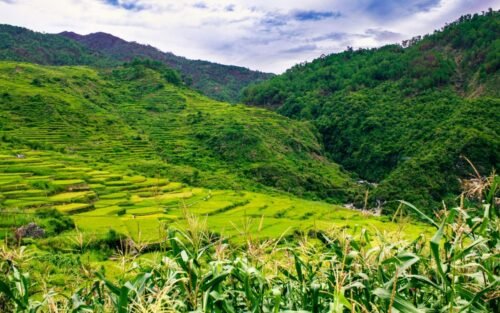 Mountains of Sagada, Cordillera