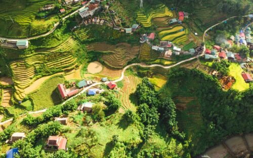 Terraced rice fields in Sapa, Vietnam